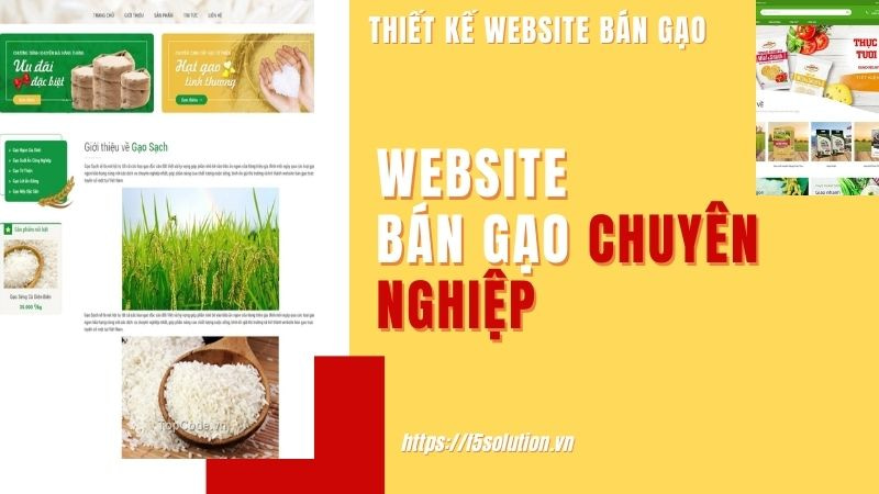Thiết kế website xuất khẩu gạo chuyên nghiệp