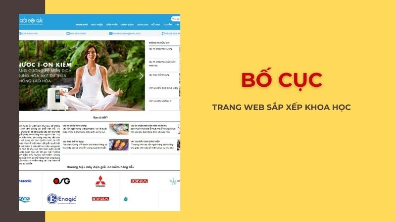 Bố cục website đông y
