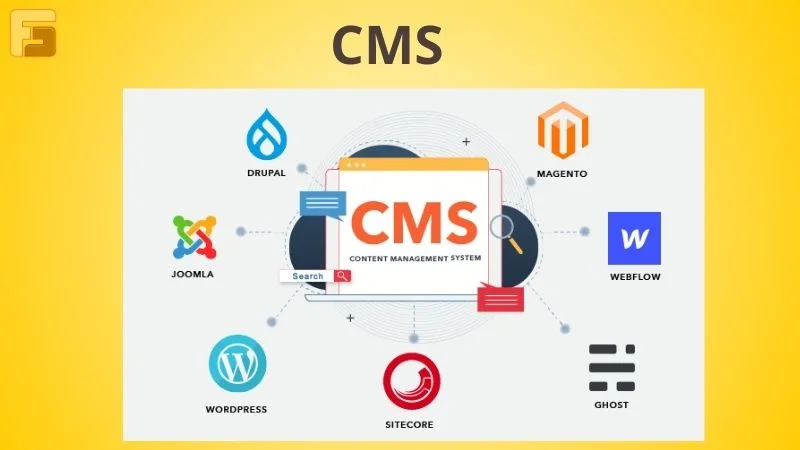 CMS là gì