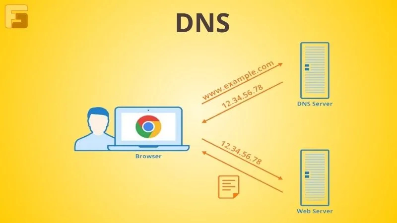 DNS