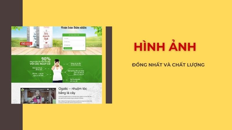 Hình ảnh đồng nhất và chất lượng khi thiết kế web