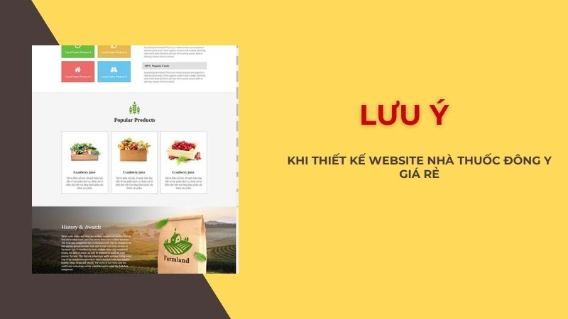 Lưu ý khi thiết kế website giá rẻ