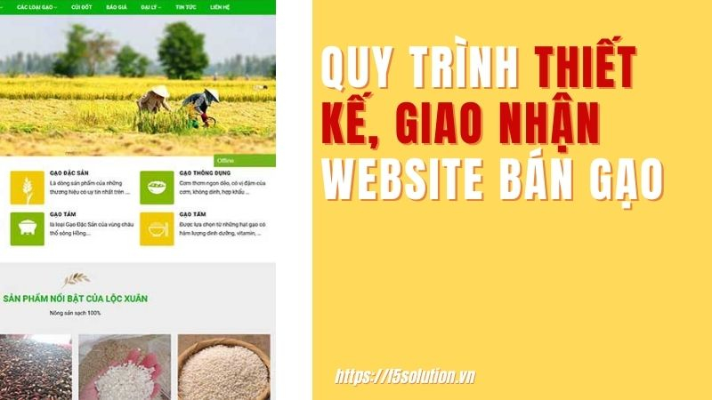 Quy trình thiết kế website xuất khẩu gạo tại F5