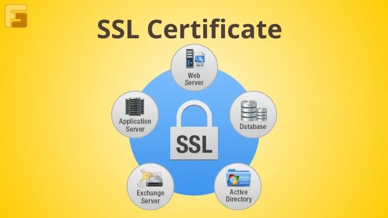 SSL là gì