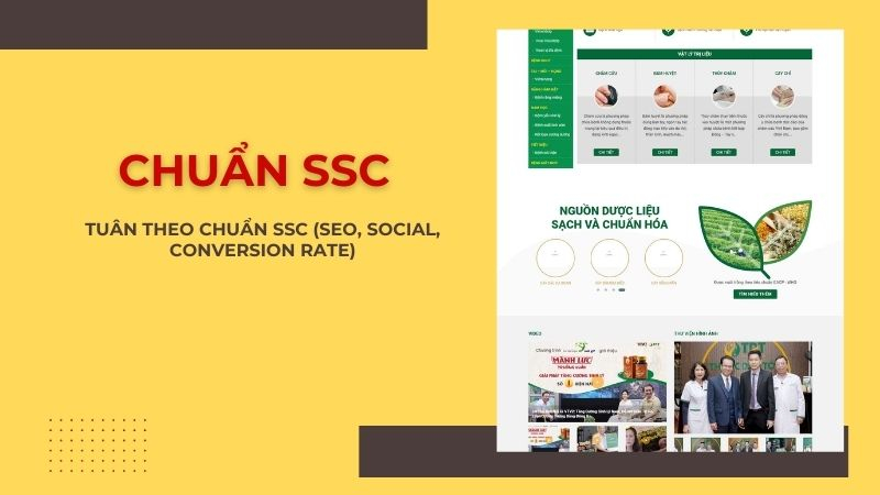 Chuẩn SSC trong thiết kế website đông y